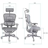 Ergohuman 2 Elite ST Ergonomiczny Fotel Biurowy z Siatki, Aluminiowa Konstrukcja, Zagłówek 2D, Podłokietniki 5D, Regulacja Głębokości Siedziska, Drift Tilt, Do 150 kg (GS Pink)