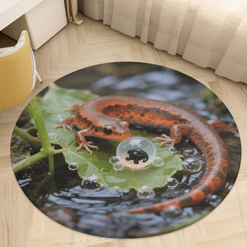 �v���b�V�� �R�[���� �x���x�b�g ���E���h �G���A���O 2.5�t�B�[�g �ɔ� 0.5 cm �t�@�C���[�T���}���_�[ �G�b�O �t���A�}�b�g ����~�� TPR �o�b�L���O ���[�p�C�� ����\ �E�F���J���t�����g�h�A�}�b�g �Q�� ���֑���