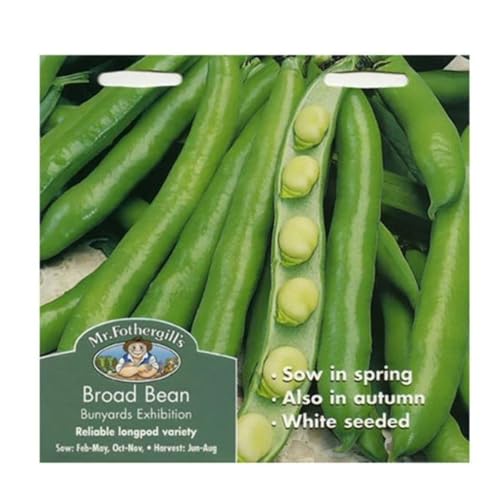 Mr Fothergills Mr Fothergills 21946 Vegetable Seeds Broad Bean Bunyards Exhibition White 100 cm