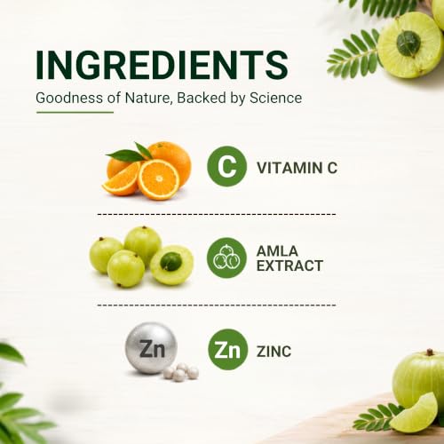 Image of Pure Nutrition Vitamin C with Amla Extract + Zinc Supplement | Boost Immunity | Support In Skin & bone Health - 60 Veg Tablets
