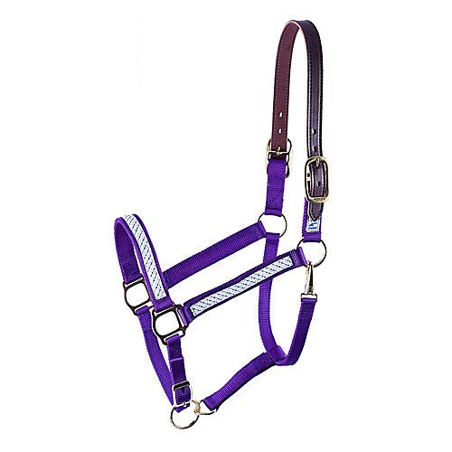 Perris Ribbon Safety Halter Horse Arrows #TOP29