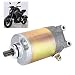 Motor de arranque de motocicleta Gorgeri apto para CN250/CH250/CFMoto 250/Kymco 250cc Motor...
