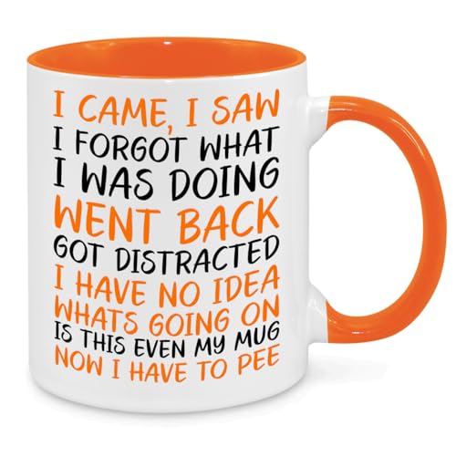 I Came I Saw I Forgot Mug - Funny Novelty Gift Silly Present Mugs for Women Birthday Christmas for Mum Dad Friend Sister for Men Colleague Secret Santa Work Quotes (Orange)