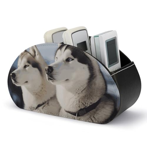 Organiseur de télécommande Husky en cuir à 5 compartiments pour bureau - 2