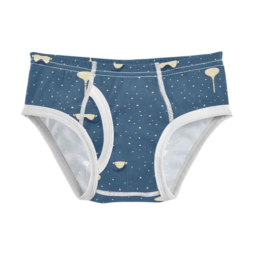 Yuiboo Kids Underwear Boys Pure Cotton Briefs Underwear for Boys A Father's Day in Sizes 3T