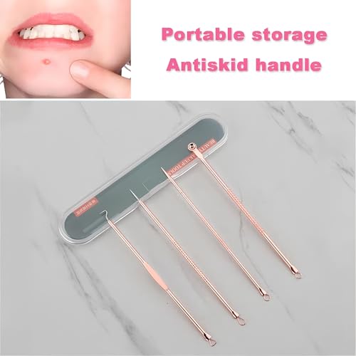 Kit 4 Ferramentas Extrator de Cravos em Aço Inox com Estojo - Limpeza Facial Profissional