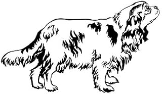 Cavalier King Charles Spaniel Vinyl Decal Sticker (Black)