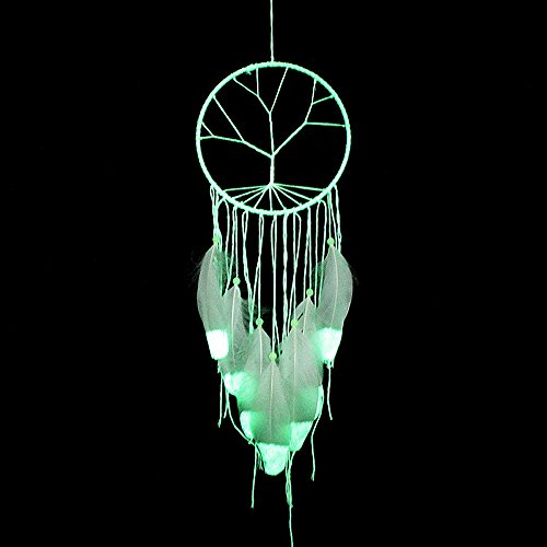 Proboths Feather Hanging Decor, Exquisite Manual Dream Catcher Luminous Feather Hanging Ornament for Wall and Car