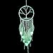 Feather Hanging Decor, Proboths Exquisite Manual Dream Catcher Luminous Feather Hanging Ornament for Wall and Car