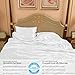 PROMEED 100% Mulberry Silk Duvet Cover Queen Size, Real Grade 6A+ 23 Momme Silk Quilt/Comforter Cover with Zipper and Coner Tie (White, King)