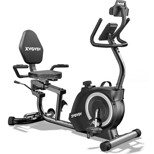 Recumbent Exercise Bike for Home Use, Quiet Recumbent Stationary Bikes for...