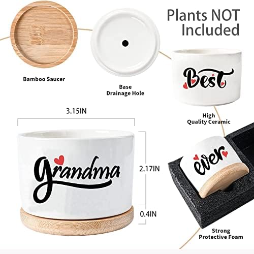 Easymoo Birthday Gifts For Grandma,Gifts For Grandma,50th Birthday Gifts For Women,Gift Box For Grandma,Grandma Gifts From Granddaughter-Succulent Pot 3 PCS