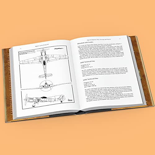 Fighters of the Dying Sun: The Most Advanced Japanese Fighters of the Second World War
