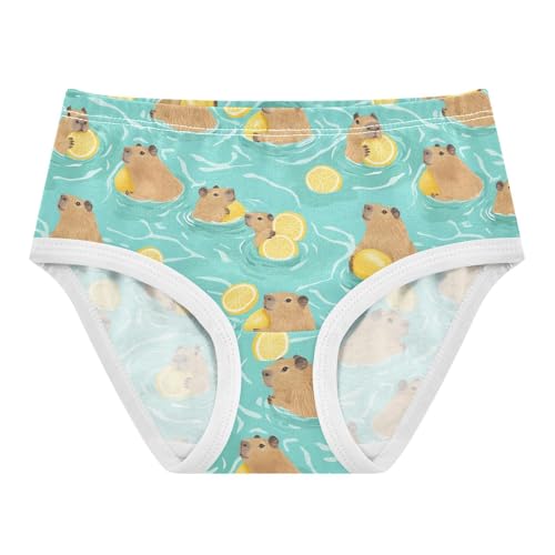 Girls Underwear Soft Cotton Capybara Lemon Kids Panties in Sizes 2/3t, 4t, 5t, 6 and 8