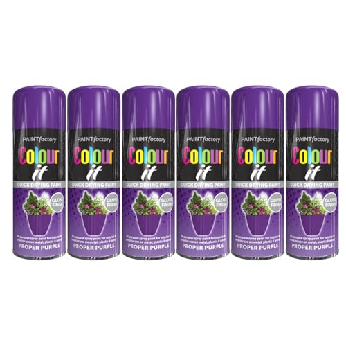 SDMAX Purple Gloss Aerosol Spray Paint, Durable And Gloss Finish, Non-Cracking, Quick-Drying, Easy To Use, Lightweight And Portable, Interior & Exterior Use, 250ml (6PCS)