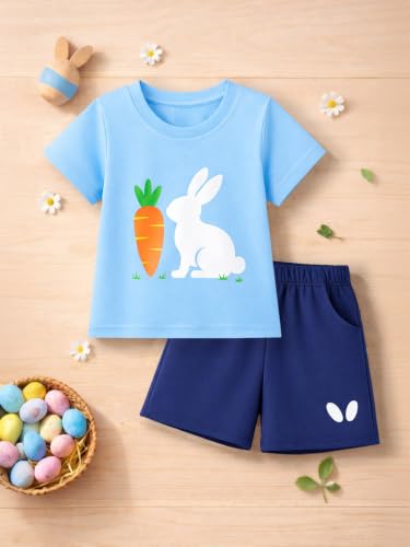 Image of HILEELANG Toddler Boy Summer Outfit Set 2 Piece Short Sleeve T Shirt and Short Soft Breathable Cotton Clothing Sets 2-7T