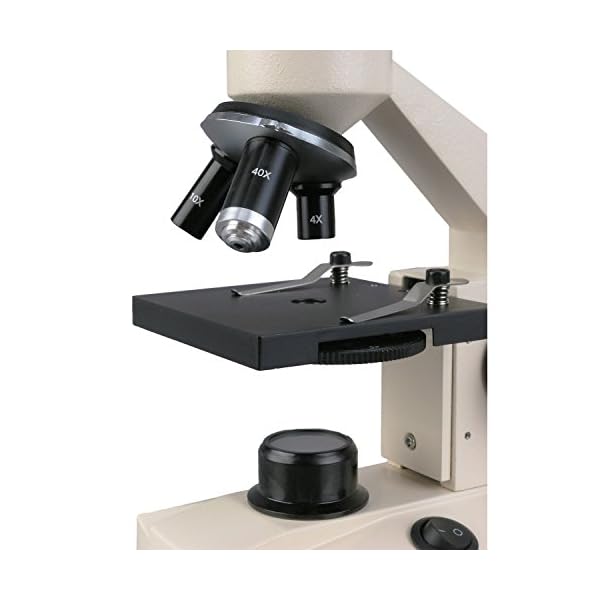 amscope m100 C-led-sp14-e 40 x-1000 x Student Biologische Field Mikroskop mit LED-Beleuchtung + Kamera + Slide Vorbereitung Kit – Bild 5