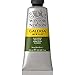 Produktbild Winsor & Newton 2120447 Galeria Acrylfarbe, hohe Pigmentierung, lichtecht, buttrige Konsistenz, 60 ml Tube - Olivgrün
