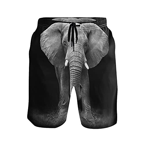 Men's Swim Trunks Long Swimsuit Beach Shorts Board Shorts with Mesh Lining-S/M/L/XL/XXL