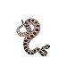 Diamond Back Rattle Snake Iron on Embroidered Patch