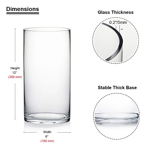 Enova Floral Cylinder Glass Vase 6 X 12 Inches Round Large Flower Vase, Pillar Candle Floating Candle Holder Vase, Tall Glass Vase For Flowers, Glass Vase For Decor, Wedding Centerpieces (1 Piece) #TOP1