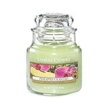 yankee housewarmer Brenndauer bis zu 40 Stunden Yankee Candle Classic Housewarmer Klein, Pineapple Cilantro, Duftkerze, Raum Duft im Glas/Jar, 1174263E
