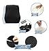 PROMIC Memory Foam Lumbar Support Back Cushion, Ergonomic Lumbar Pillow Relieves Sciatica/Back Pain - with 3D Mesh Cover & Adjustable Straps for Office Desk Chair Car Seat Couch and Sofa (Black)