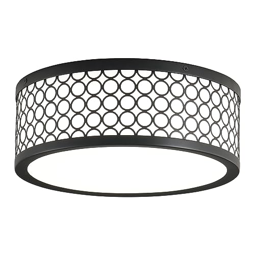 Chosenior 12 Inch LED Flush Mount Ceiling Light Fixtures 25W, 3000-5000K Dimmable Black Ceiling Lights Low Profile Close to Ceiling Lights for Bedroom Kitchen Bathroom Hallway Chosenior 12 Inch LED Flush Mount Ceiling Light Fixtures 25W, 3000-5000K Dimmable Black Ceiling Lights Low Profile Close to Ceiling Lights for Bedroom Kitchen Bathroom Hallway
