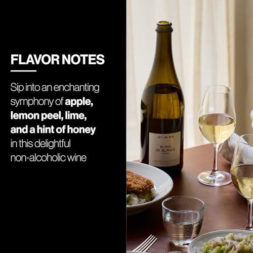 Oddbird Blanc de Blancs Sparkling Non Alcoholic Dry White Wine, Gluten Free, Non-Alcoholic Champagne, Zero Proof with Dealcoholized Chardonnay and Colombard Grapes from France, 25.4 fl oz Bottle - Thumbnail 5