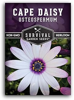 Cape Daisy Seeds for Planting - Grow White & Purple Osteospermum Daisy Plants in Your Home Flower Garden - Non-GMO Heirloom Variety - Survival Garden Seeds (1 Pack)