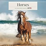 2026 Horses Wall Calendar