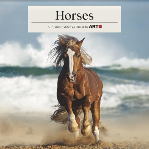 2026 Horses Wall Calendar