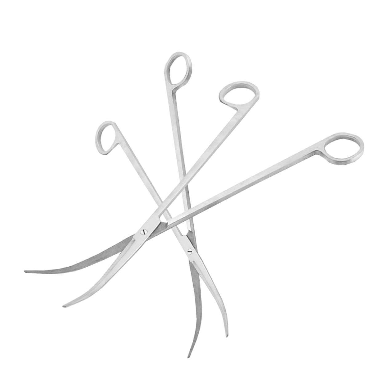 EXCEART 3pezzi Forbici Per Piante Acquatiche Acciaio Inossidabile Con Punta Curva Strumenti Per Acquario Per Potatura Piante Nel Serbatoio