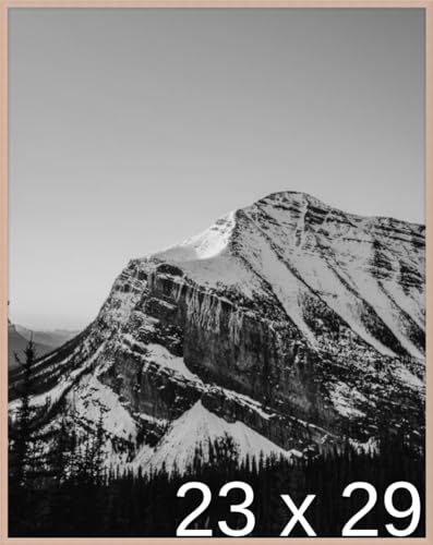 Frame It Easy 23 x 29 Rose Gold Metal Frame (Ashford)