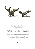 sv schott jena tischtennis  Schätze aus dem Picenum: Eisenzeitliche Grabbeigaben aus Mittelitalien Die Otto-Schott-Sammlung der Friedrich-Schiller-Universität Jena