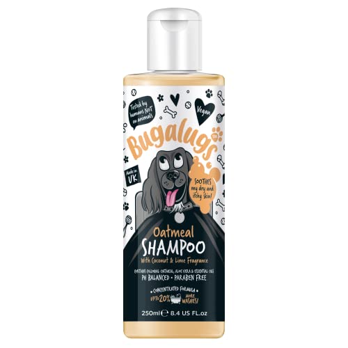 BUGALUGS Oatmeal & Aloe Vera Dog Shampoo dog grooming shampoo products for smelly dogs with fragrance, oatmeal puppy shampoo, professional Vegan pet shampoo & conditioner (250ml)