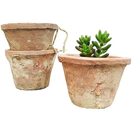 Amazon モスポット レッド３鉢 植木鉢 陶器鉢 テラコッタ鉢 素焼き鉢 鉢底穴アキ プランター おしゃれな植木鉢 Mossポット 観葉植物 オンライン通販
