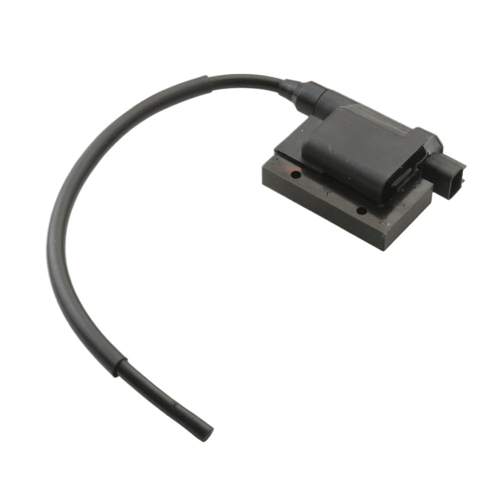 Bobina di Accensione Compatibile Con Scarabeo Ditech SR50