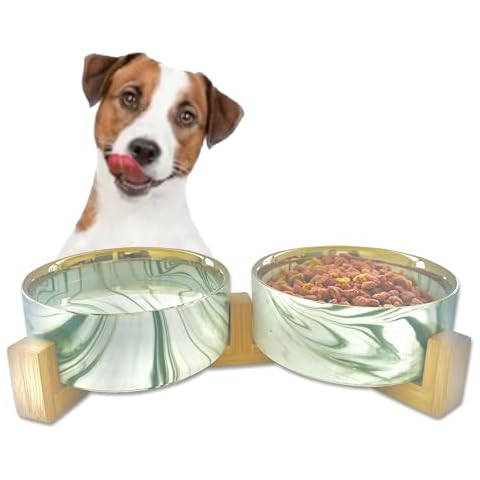 Pret & Lively No Spill Marble Pet Bowls, Elevated Food Bowl & Water Bowl, Cats, Rabbits, & Small Dogs, Puppies, Golden Rim, Stylish Pets, Mess-Free, Durable & Easy to Clean (Green/White) Cover