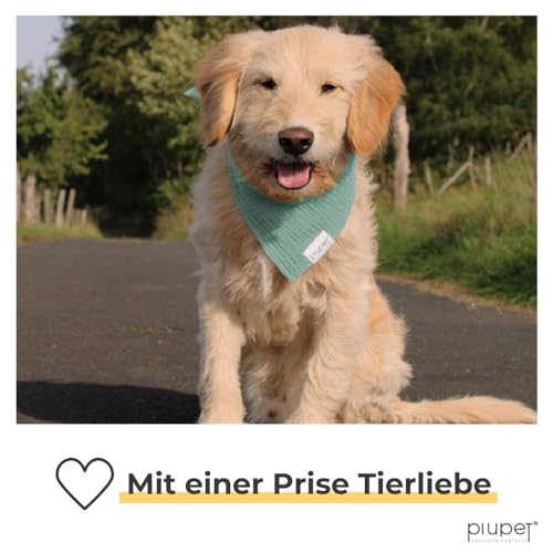 PiuPet® Hundehalstuch I 2er Set Hundehalstücher I Hundehalstuch große Hunde I Halstuch Hund I Stylisches Bandana große & kleine Hunde | Hundebekleidung & Zubehör I Blau/Türkis | (S) 58x40x40cm