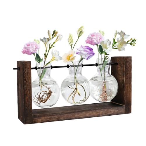 Propagation Station, 3 Pcs Bulb Vase Glass for Flowers Terra