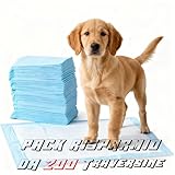 MENKËLL B0FYPD2CTQ lato 2