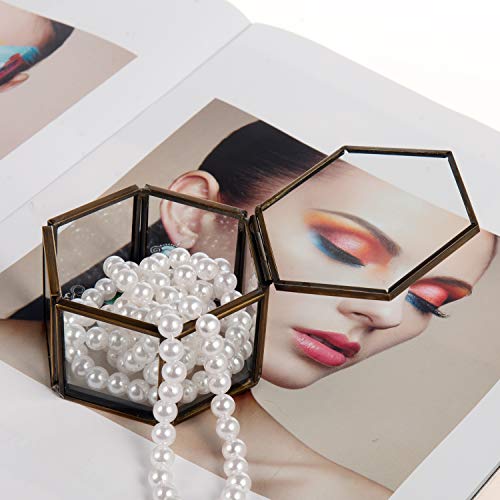 Feyarl Tiny Glass Jewelry Trinket Box Ornate Ring Earring Box Preserved Flower Glass Box Organizer Decorative Box With Lid For Wedding Dresser Deco(Brass) #TOP5