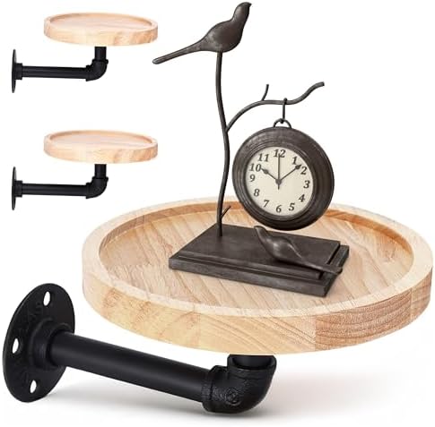 WHOLE HOUSEWARES Pipe Shelf with Round Floating Shelves - Set of ...