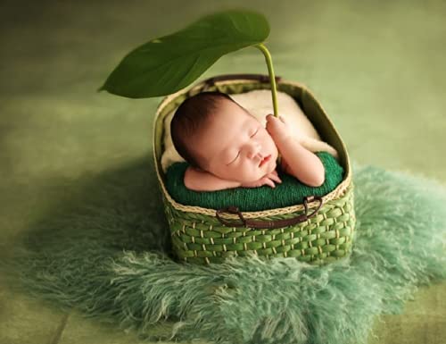 WaW 1.5 x 2.2m Photography Backdrop Light Green Vintage Photo Background Fabric Baby, Newborn, Children, Portrait Shooting - Image 3