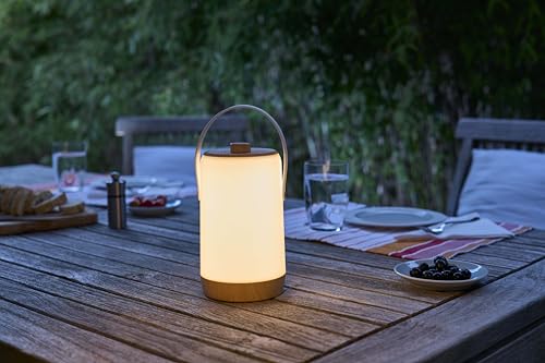 Northpoint LED Akku Laterne für Innen und Außen mit Dimmdrehschalter warmweiß RGB Soundsensor Lichteffekte Holzoptik