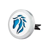 Jenia 316L Stainless Steel Car Air Freshener Aromatherapy Essential Oil Diffuser Locket With Vent Clip