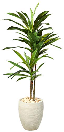 Nearly Natural 4ft. Dracaena Artificial Plant in Sand Colored Planter (Real Touch), Green