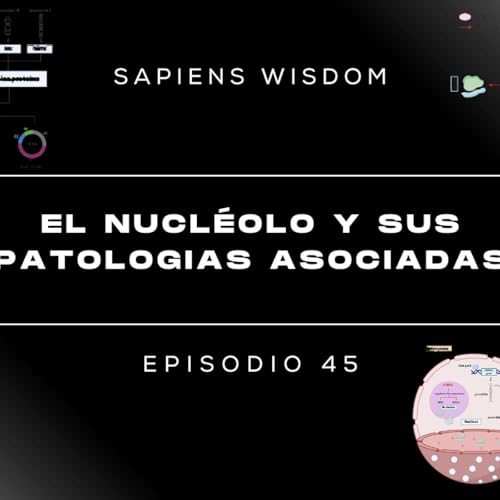 Episodio 45: El Nucléolo y sus Patologías Asociadas
