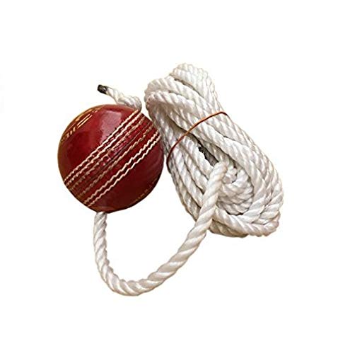 New Trend Leather Cricket Shot Practice String Hanging Ball, Red (B08296XNV3) Amazon Price History, Amazon Price Tracker